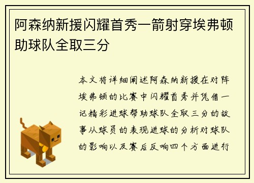 阿森纳新援闪耀首秀一箭射穿埃弗顿助球队全取三分