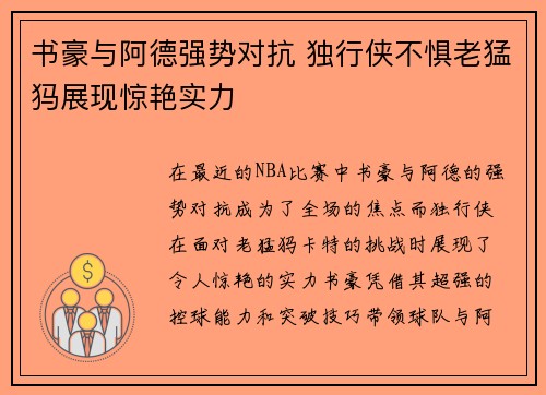 书豪与阿德强势对抗 独行侠不惧老猛犸展现惊艳实力